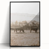 Farmhouse Wall Art - Cows Grazing in Pasture for Rustic Country Decor