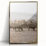 Farmhouse Wall Art - Cows Grazing in Pasture for Rustic Country Decor