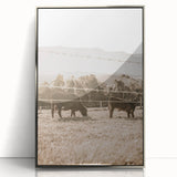 Farmhouse Wall Art - Cows Grazing in Pasture for Rustic Country Decor