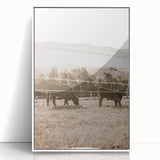 Farmhouse Wall Art - Cows Grazing in Pasture for Rustic Country Decor