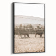 Farmhouse Wall Art - Cows Grazing in Pasture for Rustic Country Decor