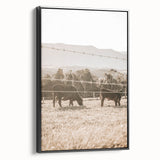 Farmhouse Wall Art - Cows Grazing in Pasture for Rustic Country Decor
