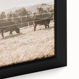 Farmhouse Wall Art - Cows Grazing in Pasture for Rustic Country Decor