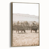 Farmhouse Wall Art - Cows Grazing in Pasture for Rustic Country Decor