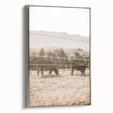 Farmhouse Wall Art - Cows Grazing in Pasture for Rustic Country Decor