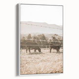 Farmhouse Wall Art - Cows Grazing in Pasture for Rustic Country Decor