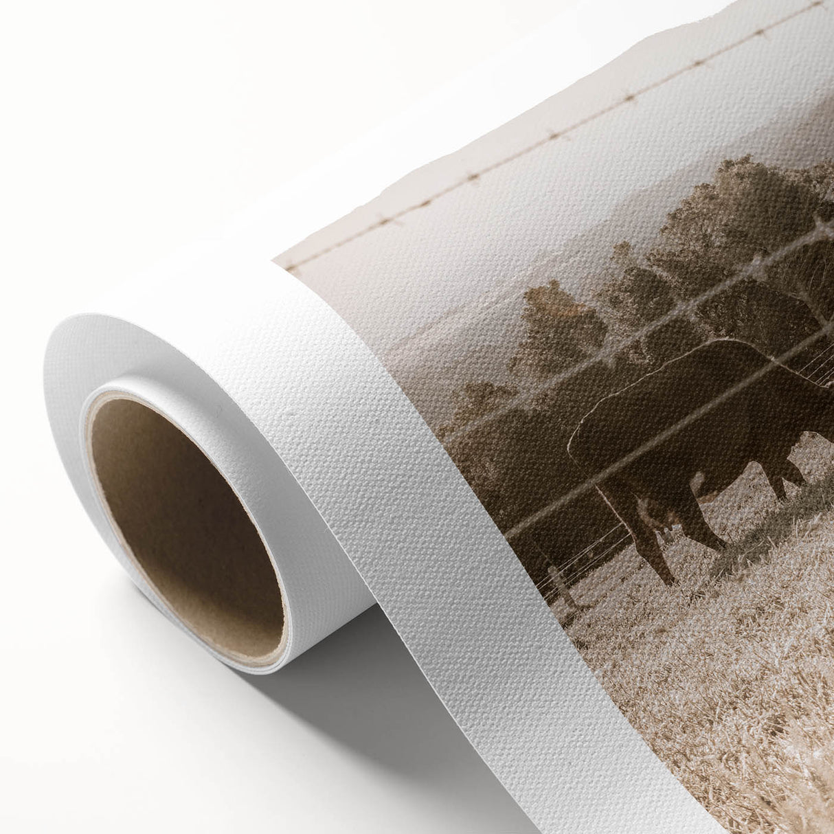 Farmhouse Wall Art - Cows Grazing in Pasture for Rustic Country Decor