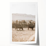 Farmhouse Wall Art - Cows Grazing in Pasture for Rustic Country Decor