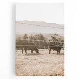 Farmhouse Wall Art - Cows Grazing in Pasture for Rustic Country Decor