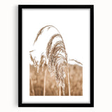 Farmhouse Wall Art - Wheat Grass in Wind for Rustic Country Decor
