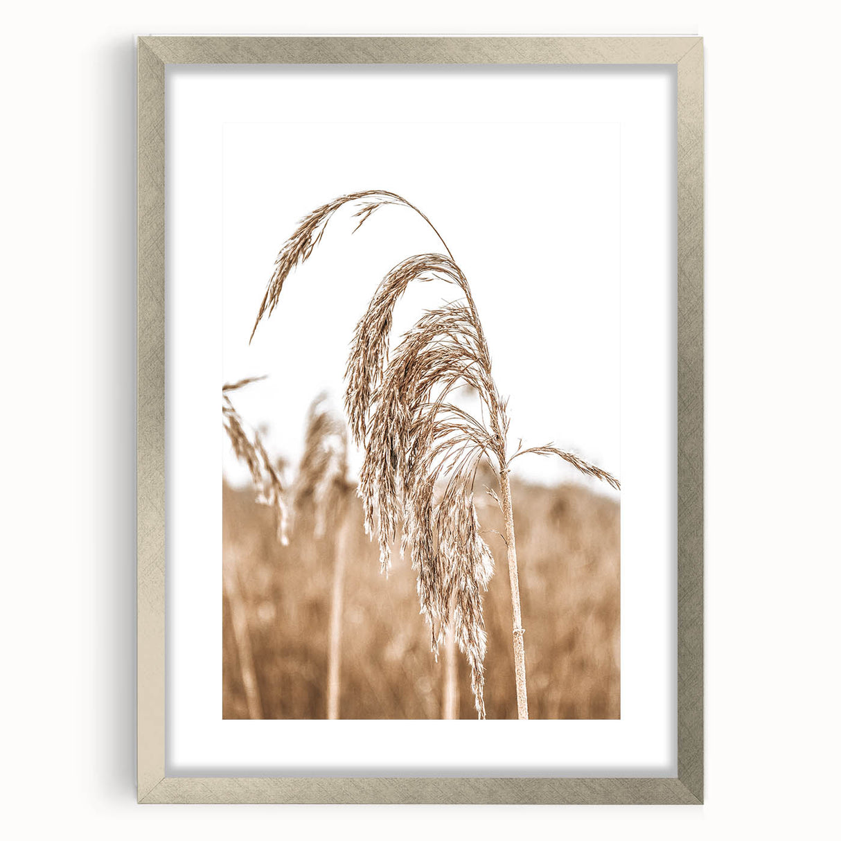 Farmhouse Wall Art - Wheat Grass in Wind for Rustic Country Decor