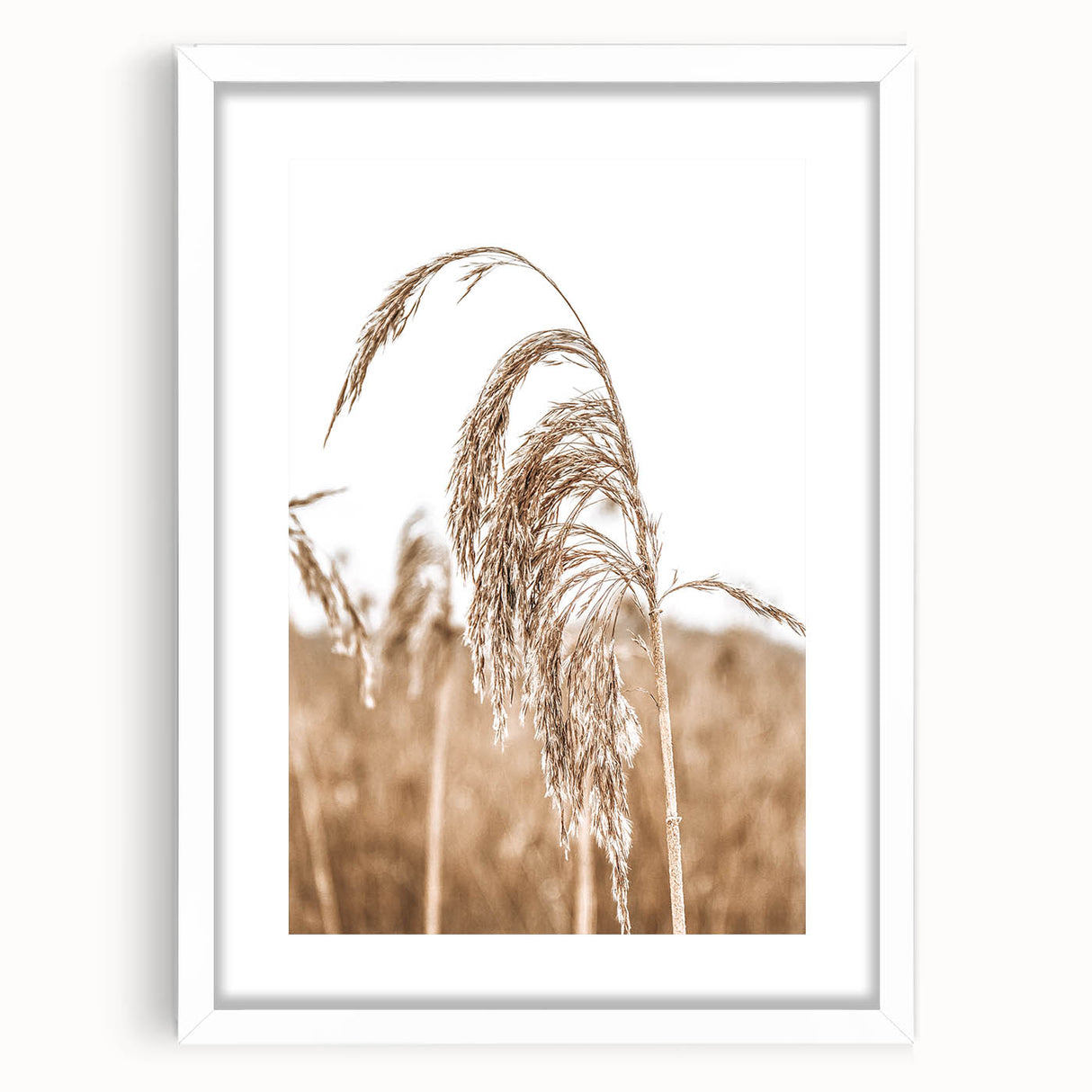 Farmhouse Wall Art - Wheat Grass in Wind for Rustic Country Decor