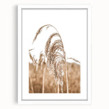 Farmhouse Wall Art - Wheat Grass in Wind for Rustic Country Decor