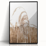 Farmhouse Wall Art - Wheat Grass in Wind for Rustic Country Decor