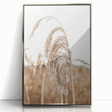 Farmhouse Wall Art - Wheat Grass in Wind for Rustic Country Decor