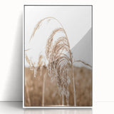 Farmhouse Wall Art - Wheat Grass in Wind for Rustic Country Decor