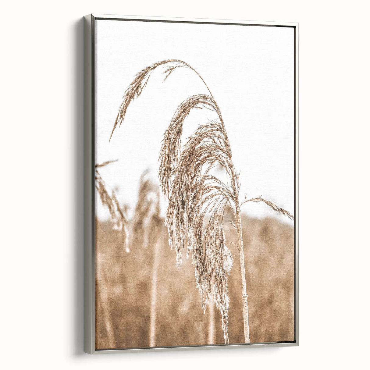 Farmhouse Wall Art - Wheat Grass in Wind for Rustic Country Decor