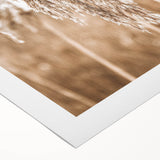 Farmhouse Wall Art - Wheat Grass in Wind for Rustic Country Decor