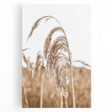 Farmhouse Wall Art - Wheat Grass in Wind for Rustic Country Decor