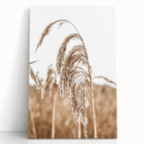 Farmhouse Wall Art - Wheat Grass in Wind for Rustic Country Decor