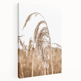 Farmhouse Wall Art - Wheat Grass in Wind for Rustic Country Decor