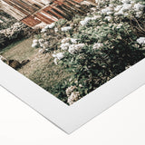 Farmhouse Wall Art - Rustic Barn with Garden Flowers for Country Decor