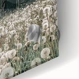 Vintage Farmhouse Wall Art: Rustic Barn with Dandelion Meadow