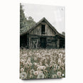 Vintage Farmhouse Wall Art: Rustic Barn with Dandelion Meadow