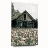 Vintage Farmhouse Wall Art: Rustic Barn with Dandelion Meadow