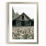 Vintage Farmhouse Wall Art: Rustic Barn with Dandelion Meadow