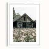 Vintage Farmhouse Wall Art: Rustic Barn with Dandelion Meadow