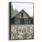Vintage Farmhouse Wall Art: Rustic Barn with Dandelion Meadow