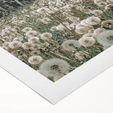 Vintage Farmhouse Wall Art: Rustic Barn with Dandelion Meadow