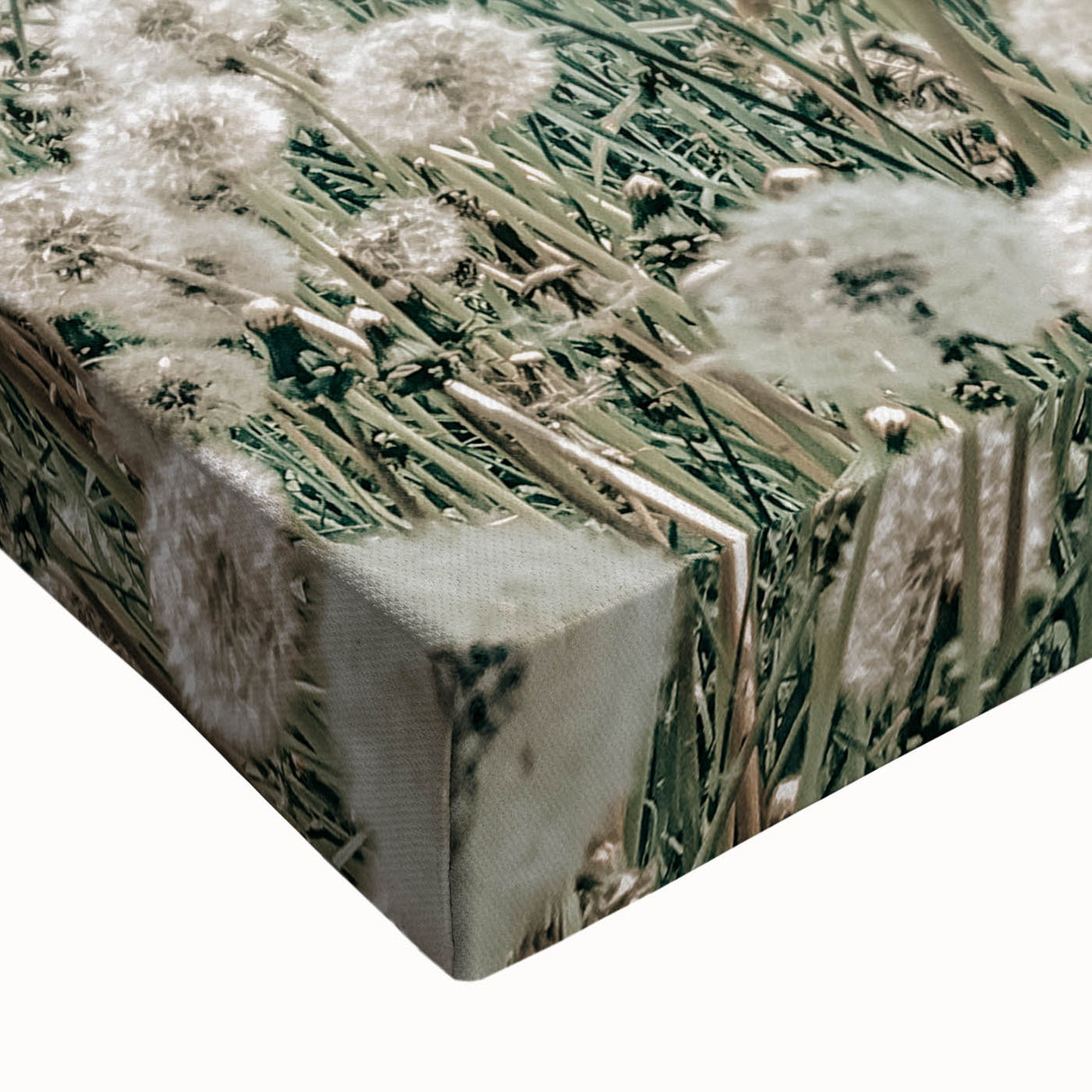 Vintage Farmhouse Wall Art: Rustic Barn with Dandelion Meadow