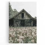 Vintage Farmhouse Wall Art: Rustic Barn with Dandelion Meadow