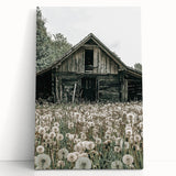 Vintage Farmhouse Wall Art: Rustic Barn with Dandelion Meadow