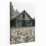 Vintage Farmhouse Wall Art: Rustic Barn with Dandelion Meadow