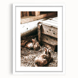 Farmhouse Wall Art: Cozy Rabbits in Rustic Barn Décor