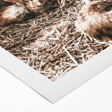 Farmhouse Wall Art: Cozy Rabbits in Rustic Barn Décor