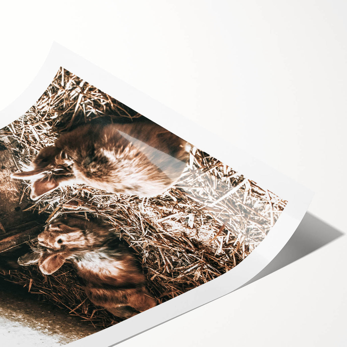 Farmhouse Wall Art: Cozy Rabbits in Rustic Barn Décor