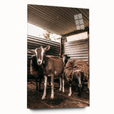 Farmhouse Wall Art: Rustic Barn with Goats and Sheep Country Décor