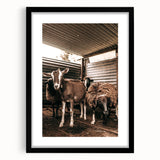 Farmhouse Wall Art: Rustic Barn with Goats and Sheep Country Décor
