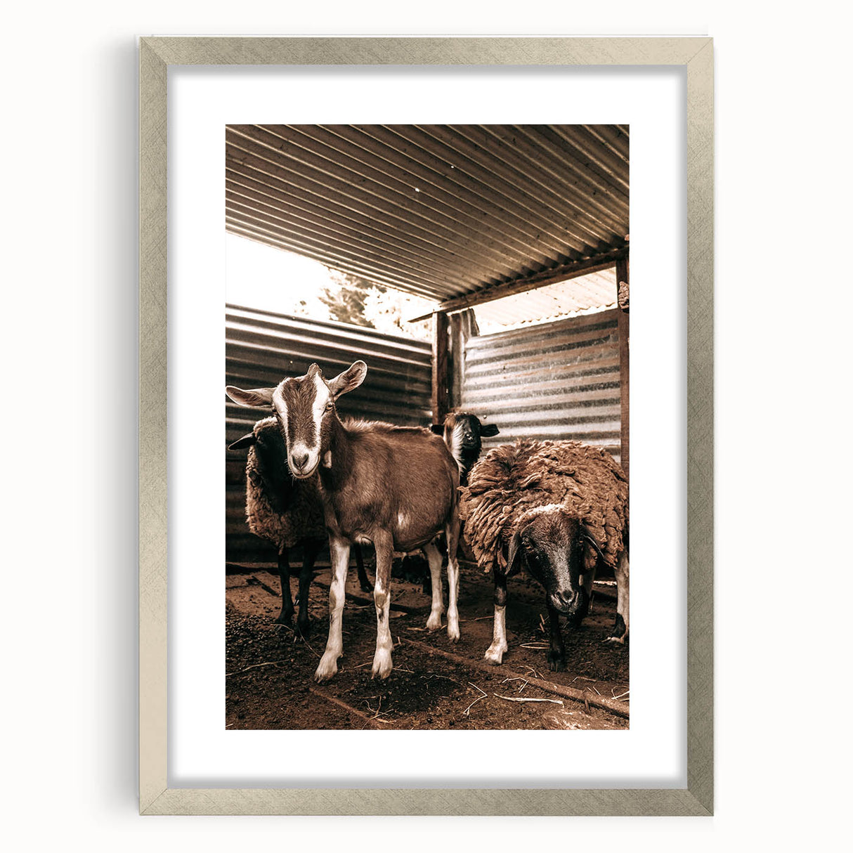 Farmhouse Wall Art: Rustic Barn with Goats and Sheep Country Décor