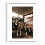 Farmhouse Wall Art: Rustic Barn with Goats and Sheep Country Décor