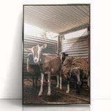 Farmhouse Wall Art: Rustic Barn with Goats and Sheep Country Décor