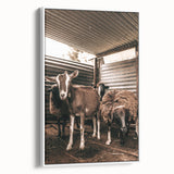 Farmhouse Wall Art: Rustic Barn with Goats and Sheep Country Décor