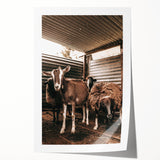 Farmhouse Wall Art: Rustic Barn with Goats and Sheep Country Décor