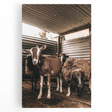 Farmhouse Wall Art: Rustic Barn with Goats and Sheep Country Décor