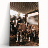 Farmhouse Wall Art: Rustic Barn with Goats and Sheep Country Décor