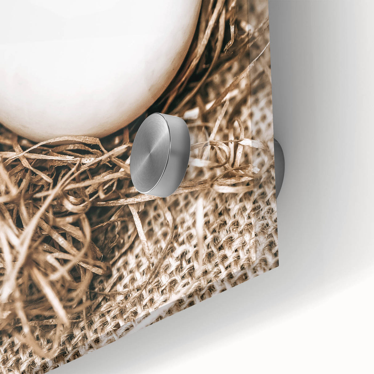 Farmhouse Wall Art: Rustic Egg in Straw Nest Country Décor
